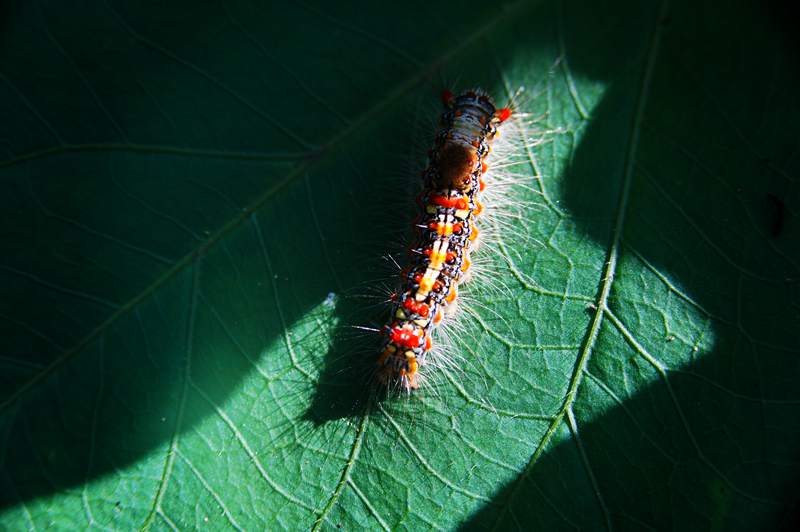 DSC00825_副本.jpg