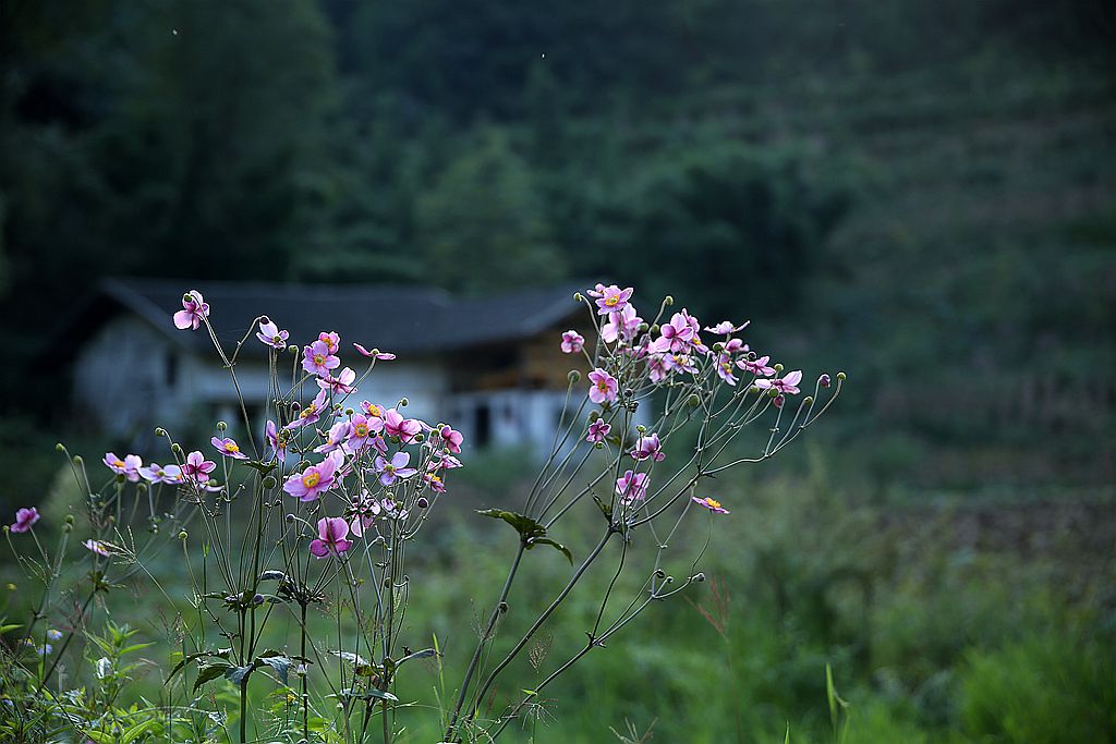 IMGL5708_副本.jpg