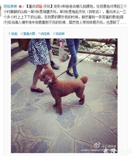 QQ截图20141007133206.jpg