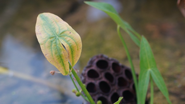 DSC01245_副本.jpg