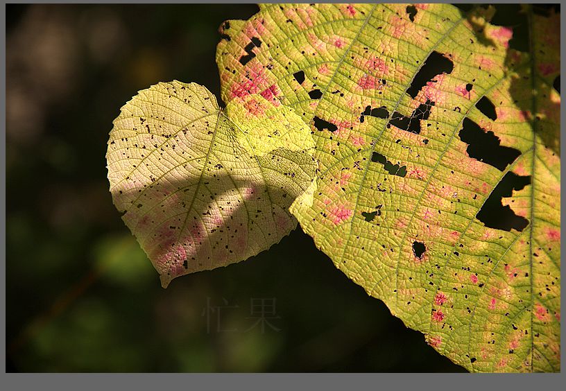 1S5A6960_副本.jpg