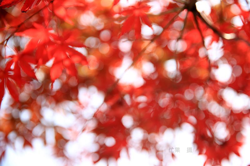 1S5A7774_副本_副本.jpg