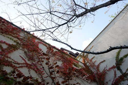 DSC01588_副本.jpg