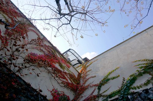 DSC01589_副本.jpg