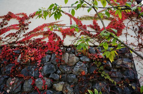 DSC01598_副本.jpg