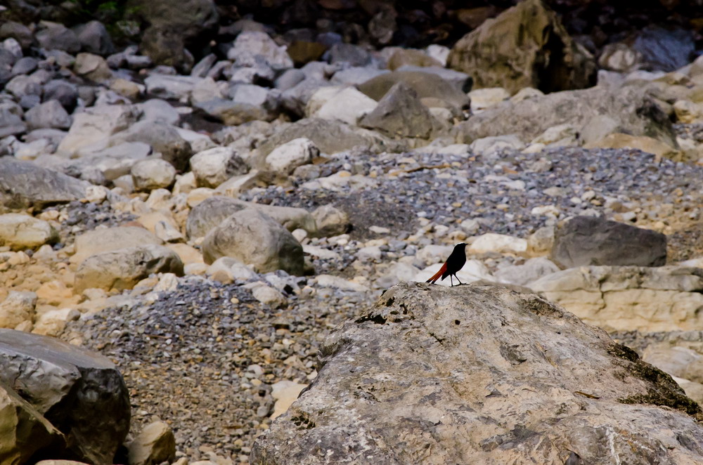 _DSC9023-1_缩小大小.jpg