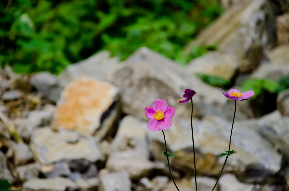 _DSC9026-1_缩小大小.jpg