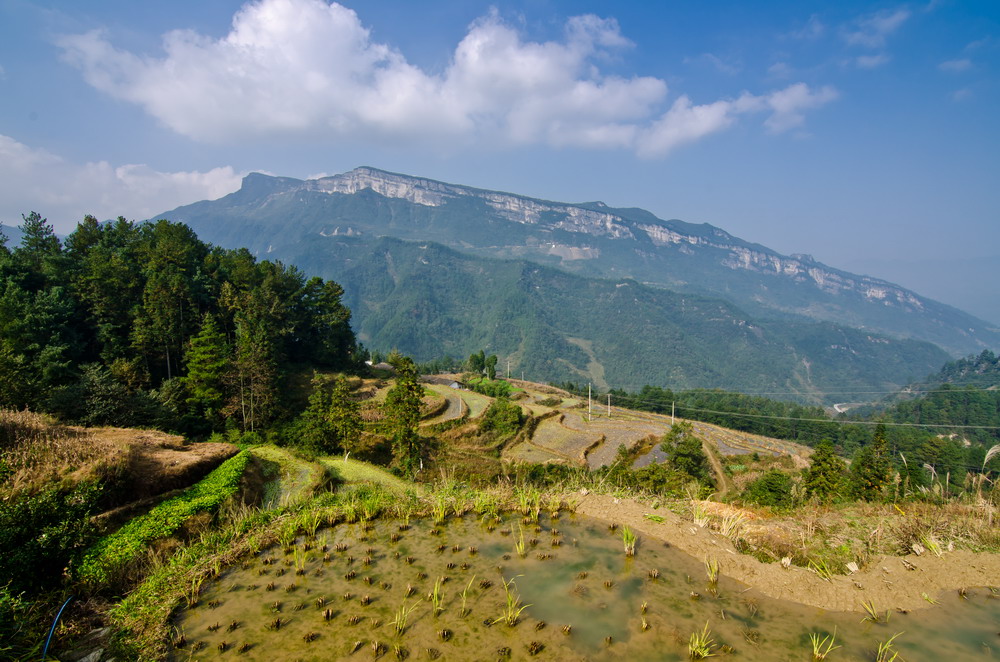 _DSC9117-1_缩小大小.jpg