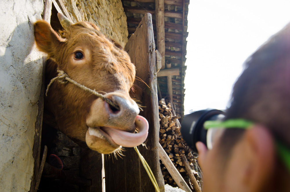_DSC9135-1_缩小大小.jpg