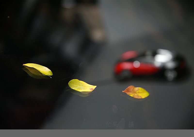 1S5A9047_副本.jpg