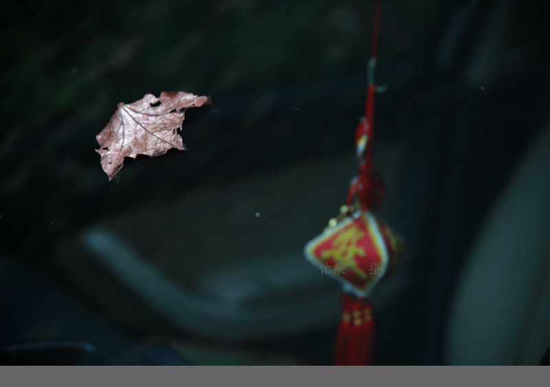 1S5A9040_副本.jpg