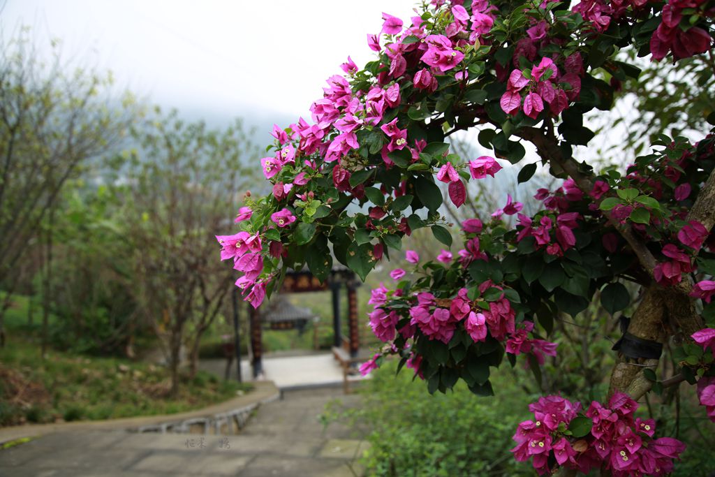 1S5A0637_副本.jpg