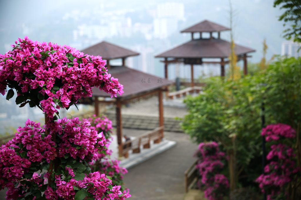 1S5A0639_副本.jpg