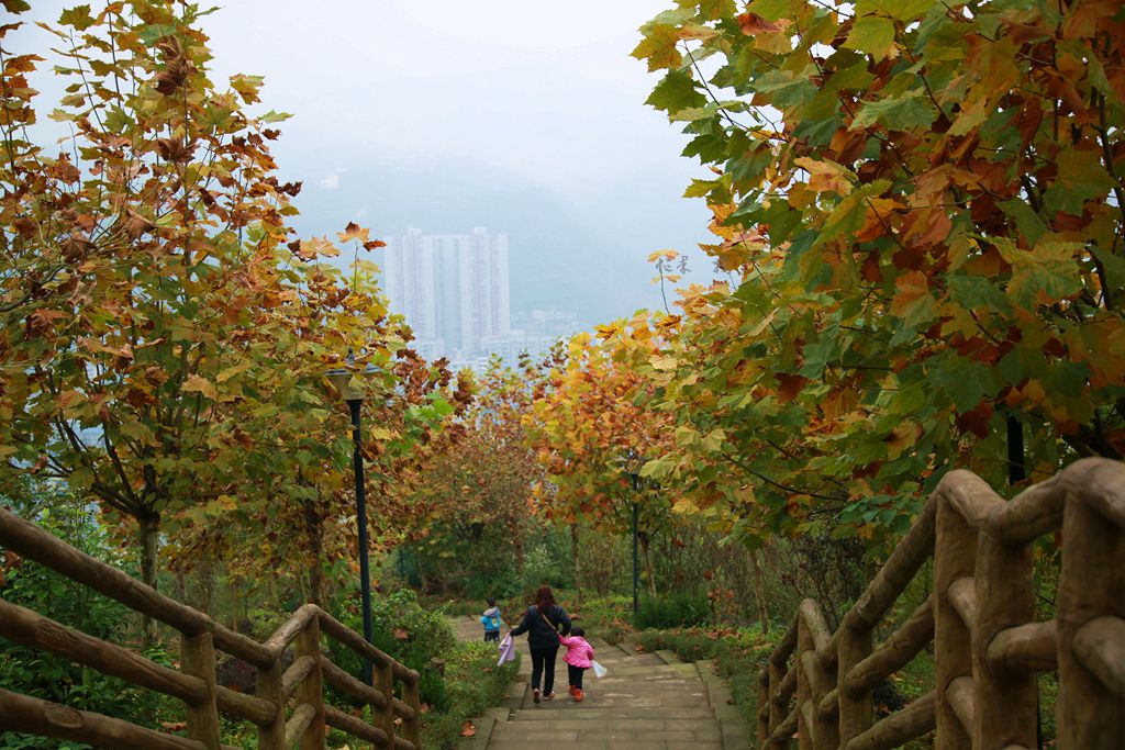 1S5A0735_副本.jpg