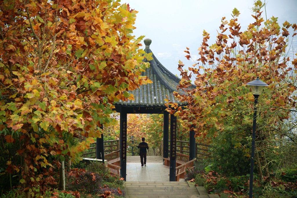 1S5A0751_副本.jpg