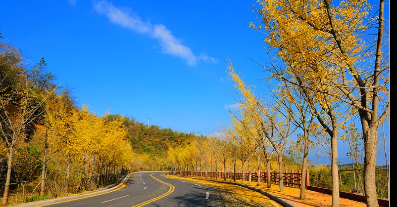 QQ截图20141122092310.png