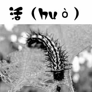 huo.jpg