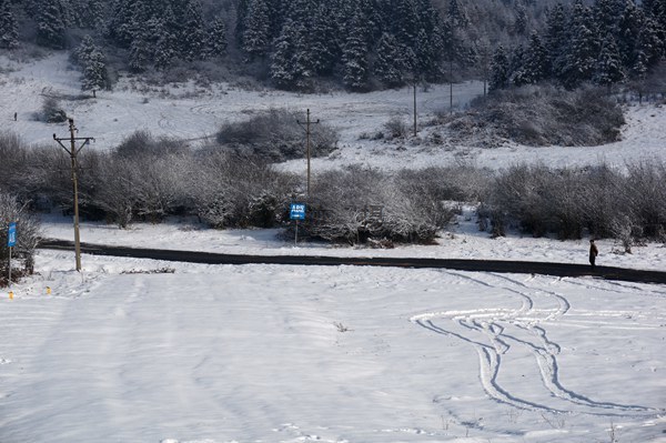 DSC02699_副本.jpg
