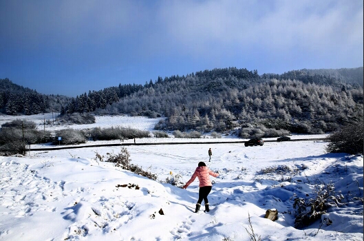 151658gv363m80lv09kilf.jpg