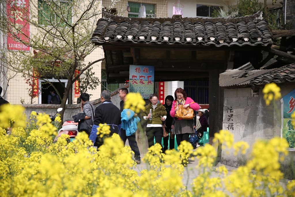1S5A0188_副本.jpg