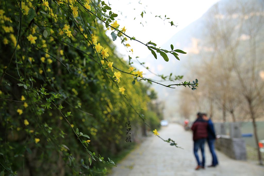 1S5A9748_副本.jpg