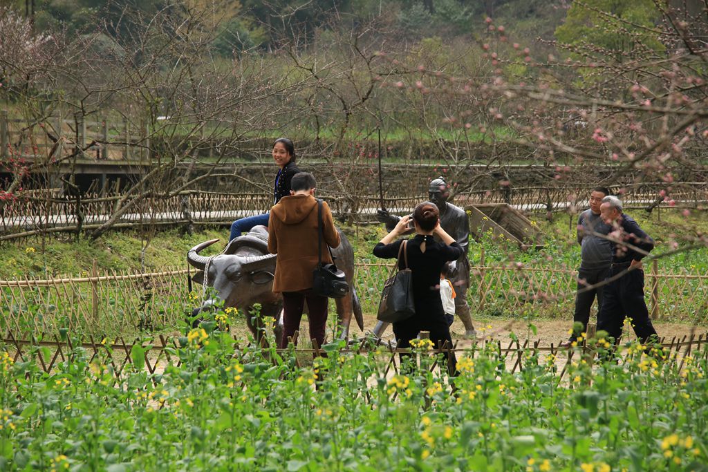 1S5A9942_副本.jpg