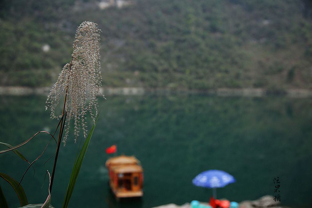 1S5A9653_副本.jpg