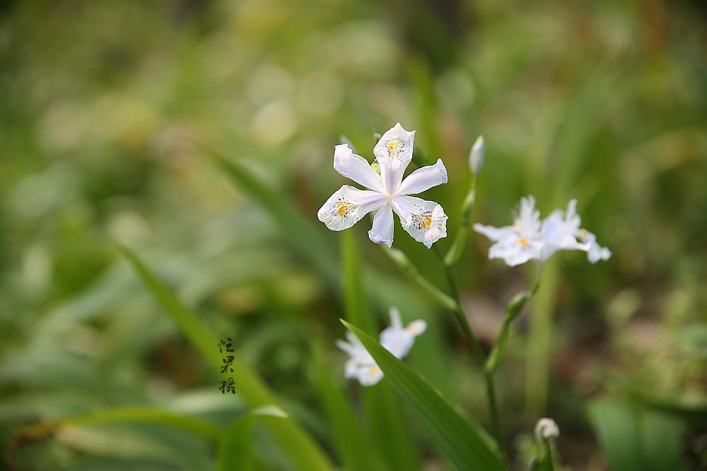 1S5A0719_副本.jpg