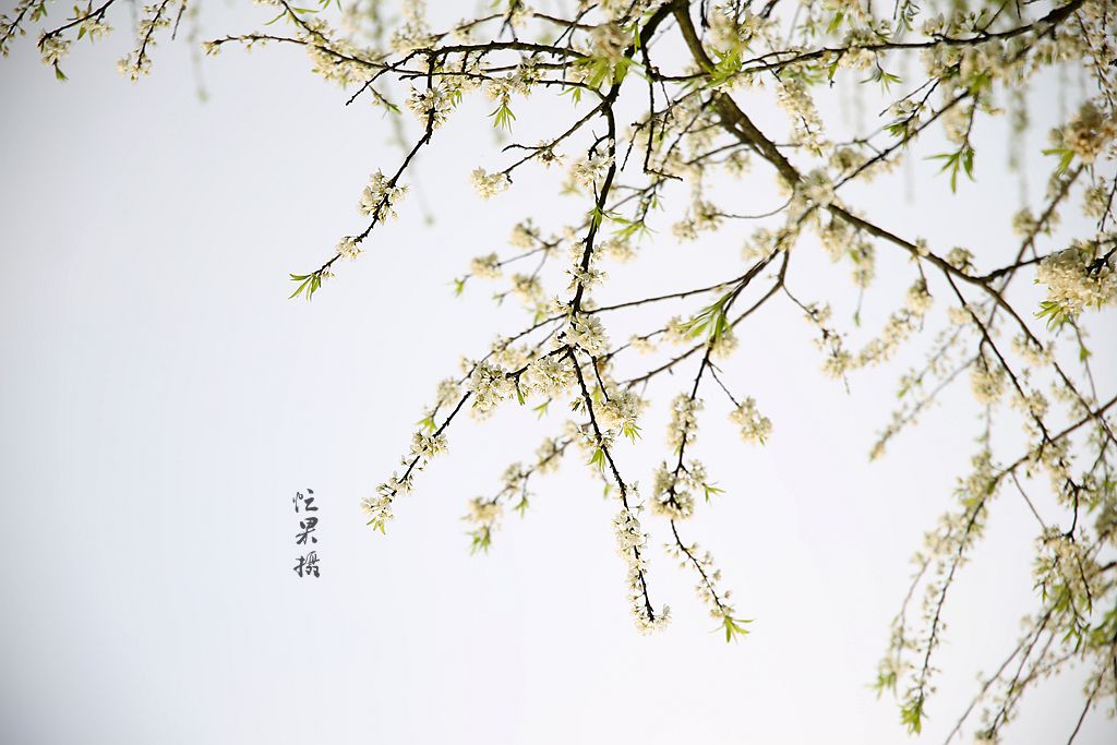 1S5A0750_副本.jpg