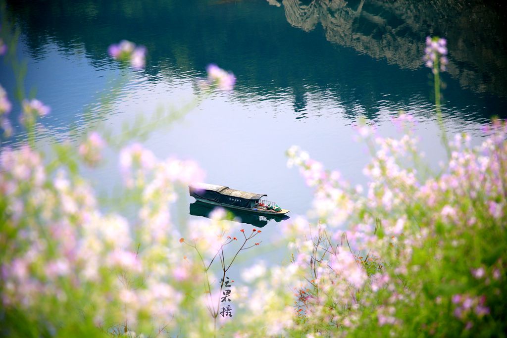 1S5A0005_副本.jpg