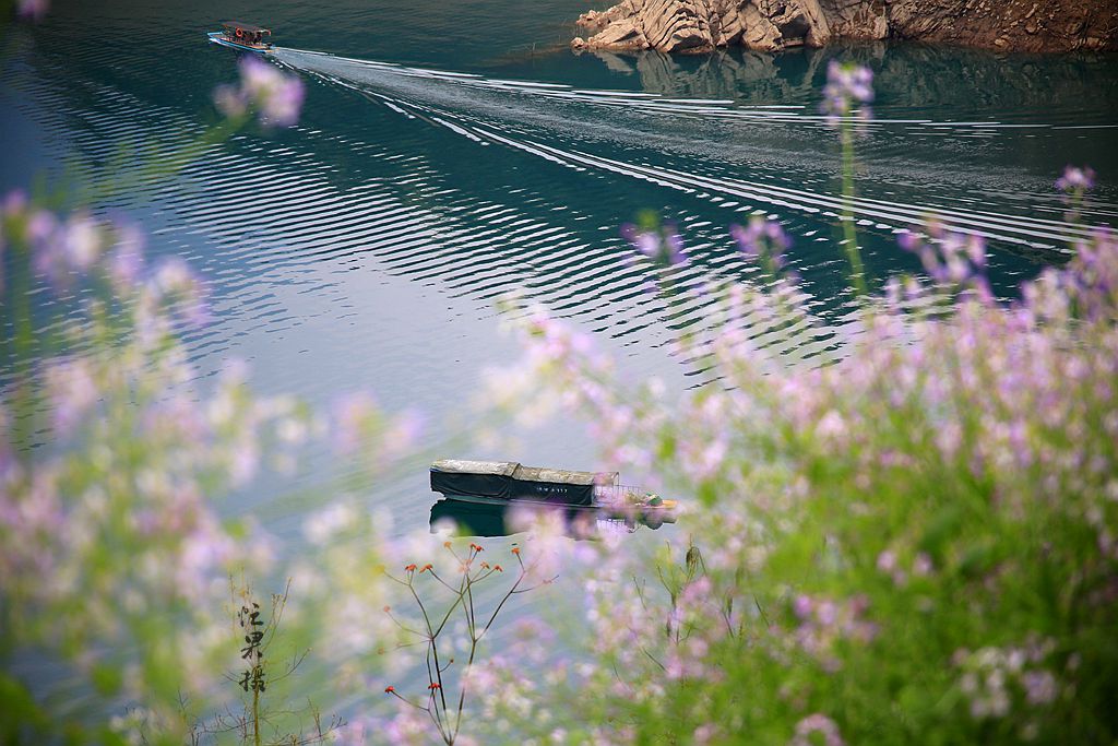 1S5A0009_副本.jpg