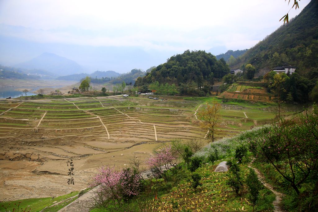 1S5A0056_副本.jpg