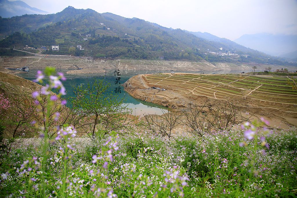 1S5A0062_副本.jpg