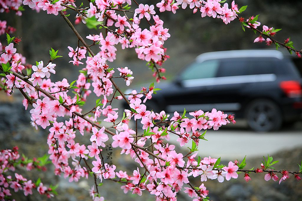 1S5A0093_副本.jpg