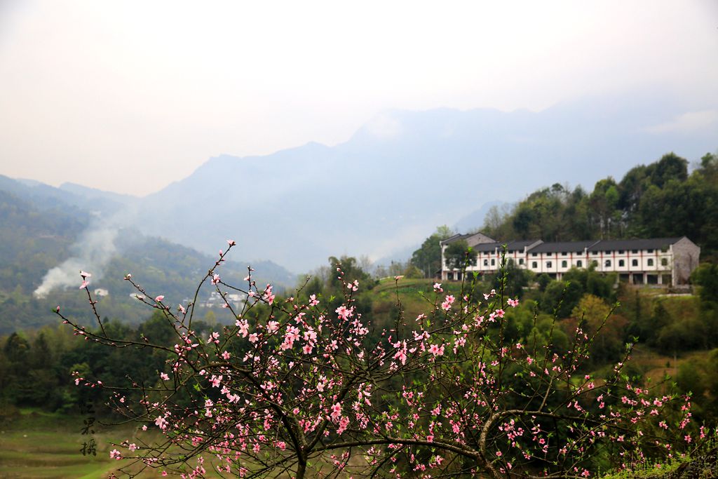 1S5A0102_副本.jpg