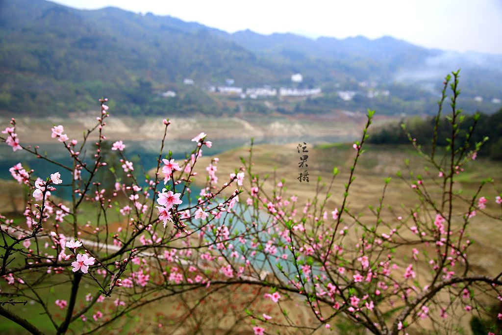 1S5A0115_副本.jpg
