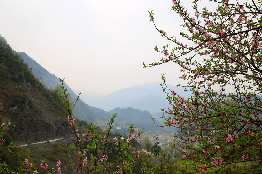 1S5A0132_副本.jpg