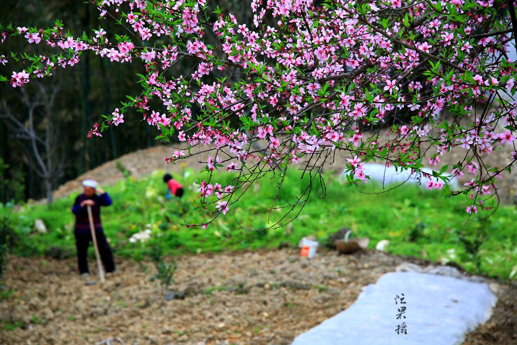 1S5A0165_副本.jpg