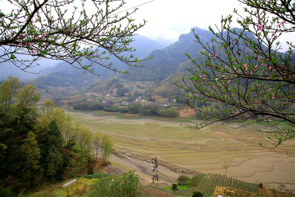 1S5A0181_副本.jpg