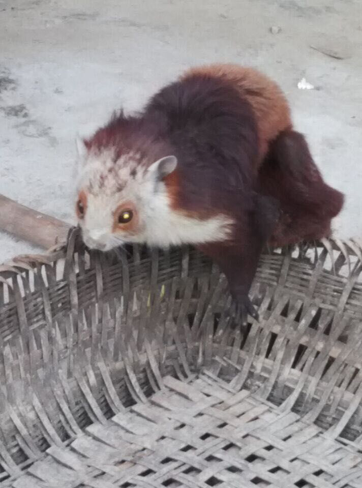 QQ图片20150323101903.jpg