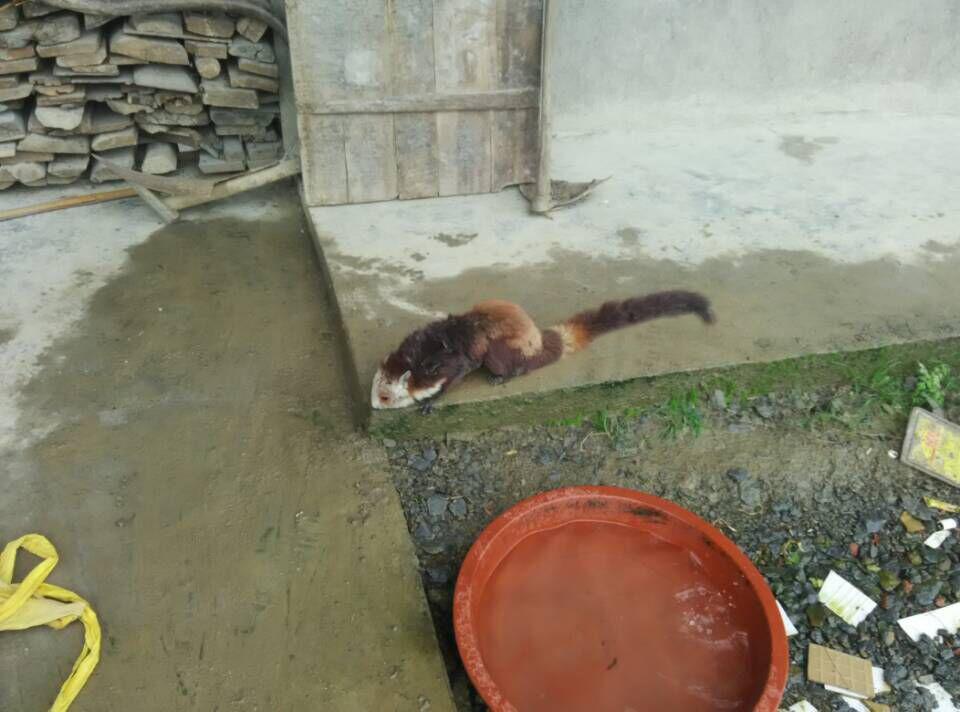 QQ图片20150323104113.jpg