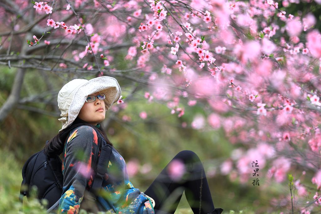 DPP_0008_副本.jpg