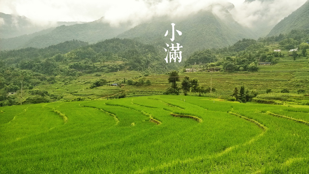 8小满b_调整大小.jpg