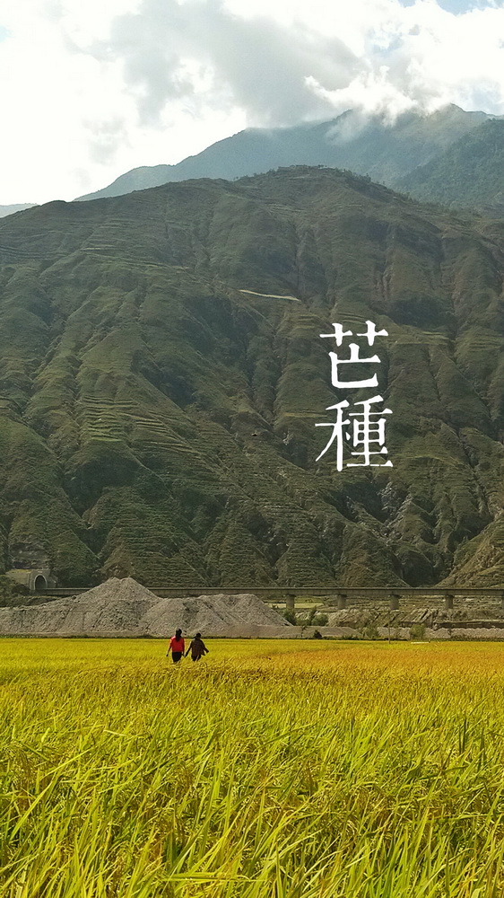 9芒种a_调整大小.jpg