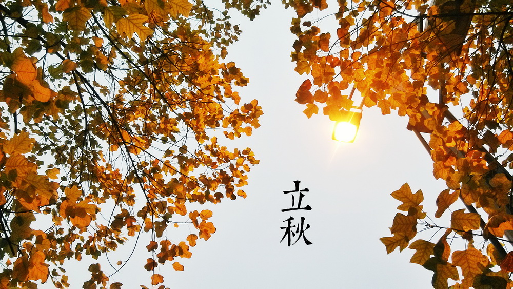 13立秋a_调整大小.jpg