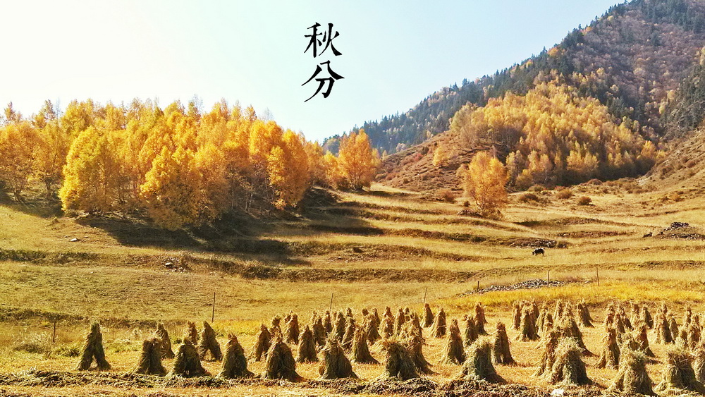 16秋分a_调整大小.jpg