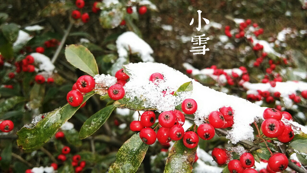 20小雪a_调整大小.jpg