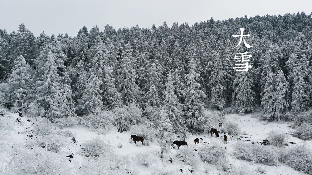 21大雪a_调整大小.jpg