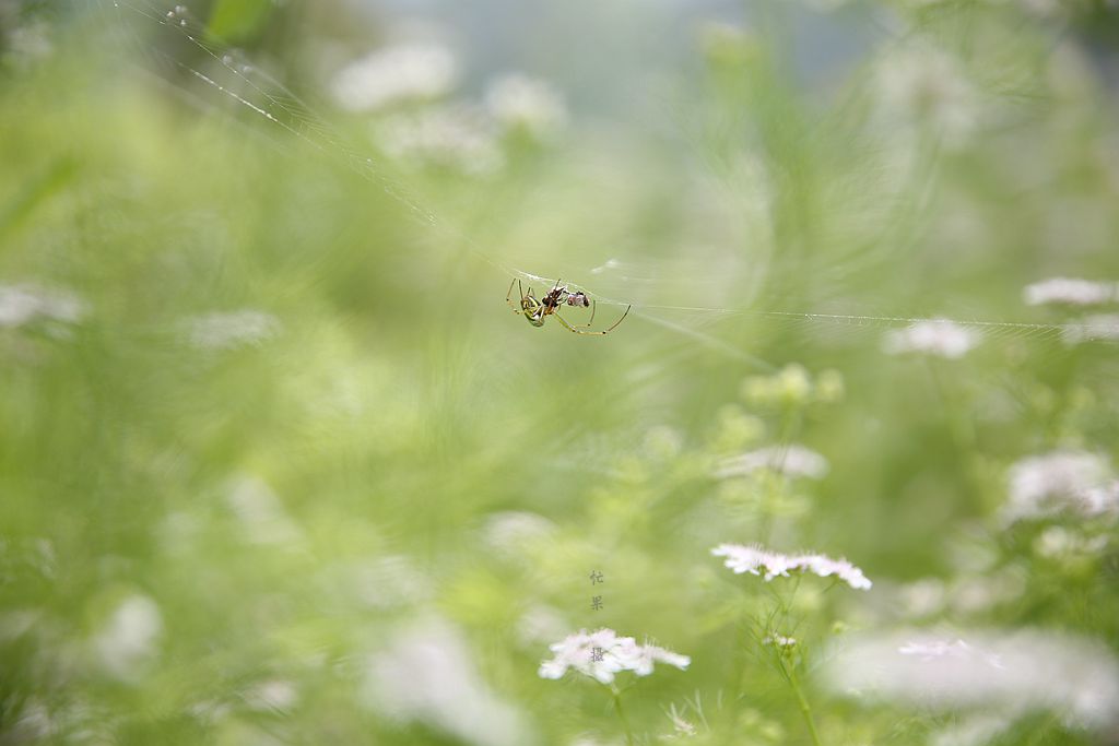 1S5A0381_副本.jpg