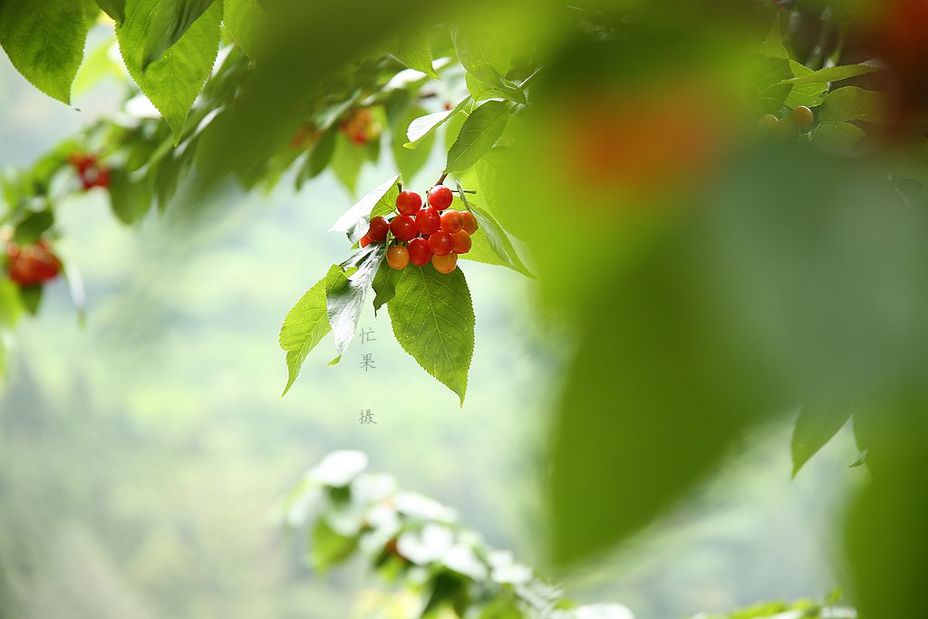 1S5A0024_副本.jpg